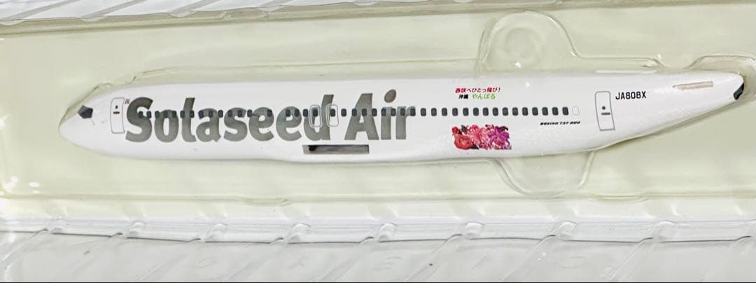 hogan 1/200 B737-800 ソラシドエア 沖縄やんばる号