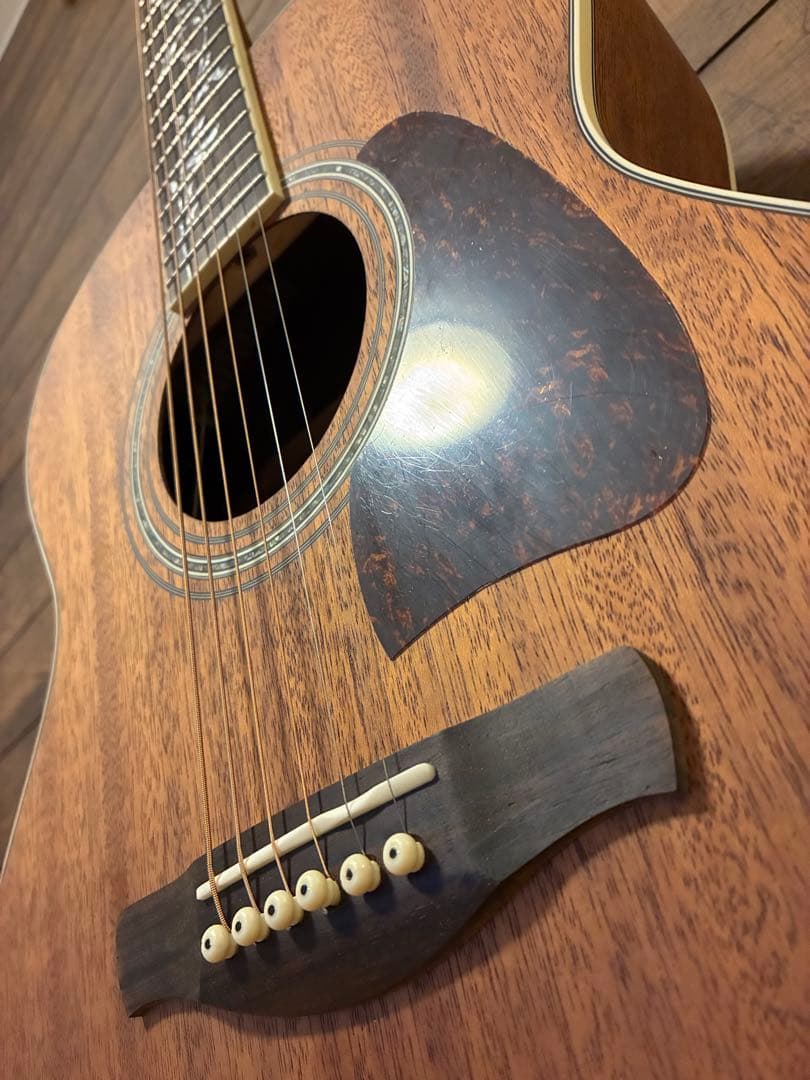 Ibanez AC390MHE ツリーオブライフ 極美品