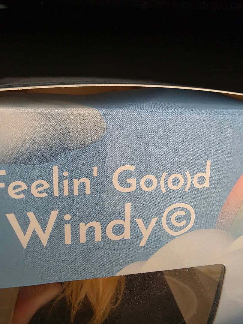 藤井風 Feelin' Good Windy ウィンディ ぬいぐるみ
