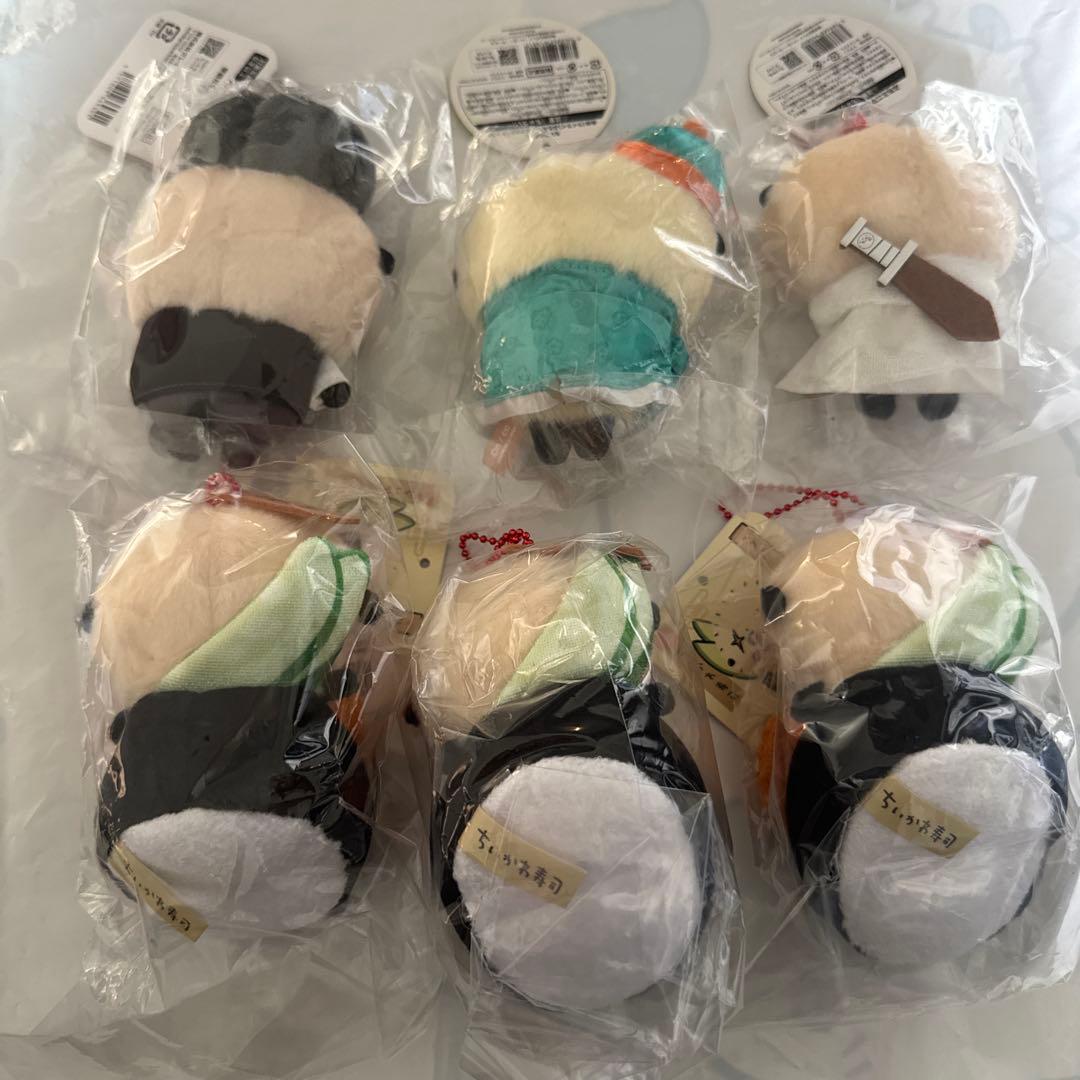 ラッコ　6点セット