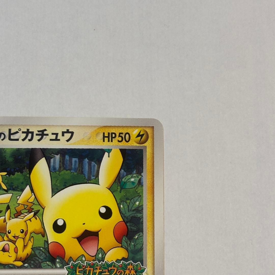 【極美品】ポケパークのピカチュウ PCG-Pプロモカード 043/PCG-P