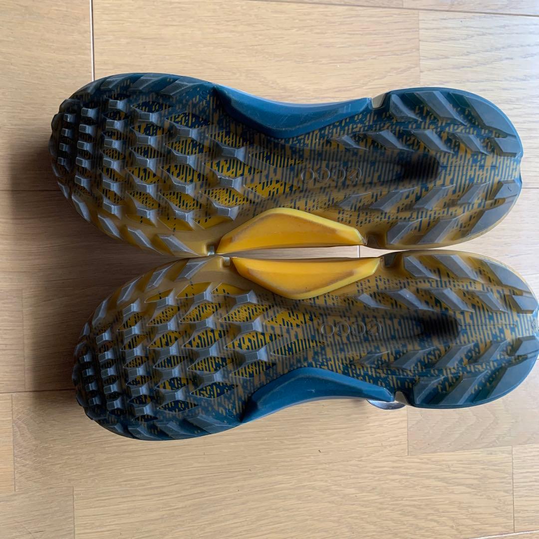 ECCO BIOM Hybrid ゴルフシューズ EU42 美品 ケース付