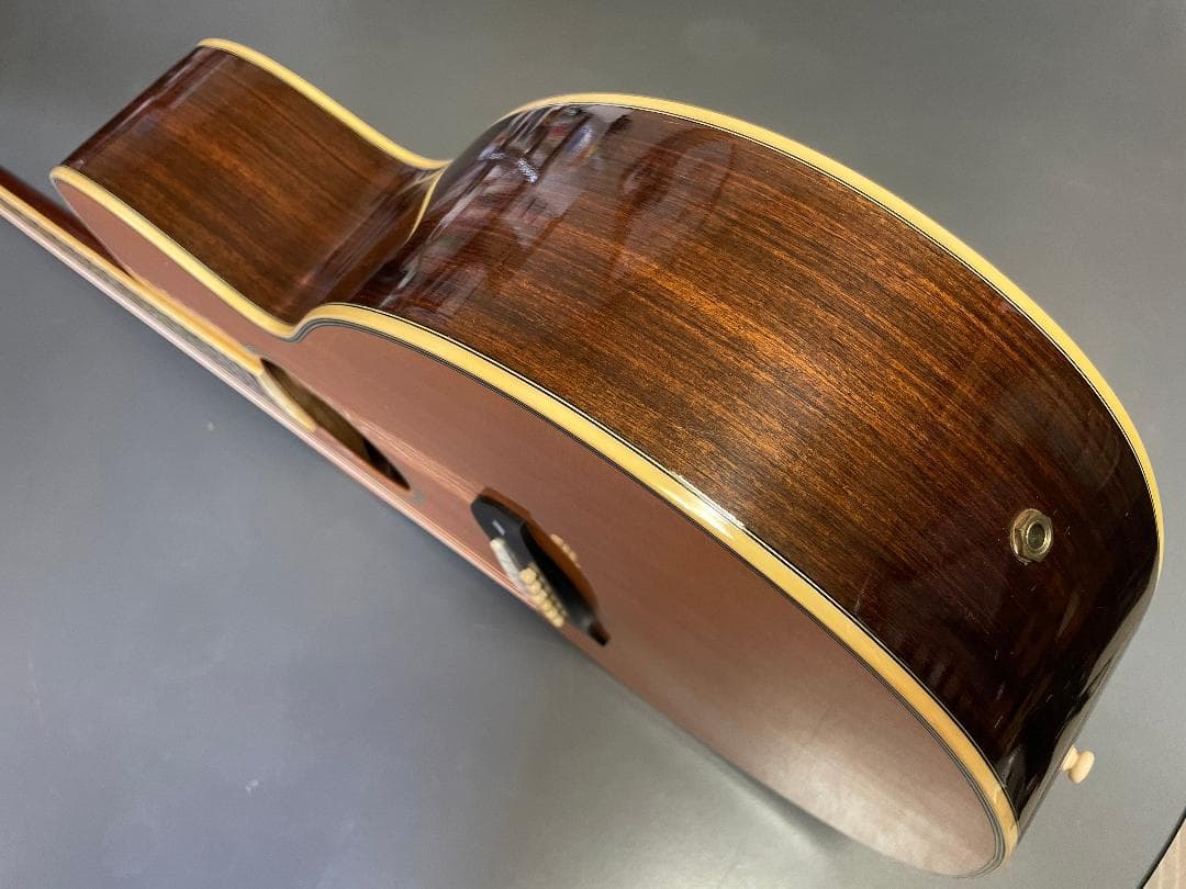 ギター Aria Elecord FE-60