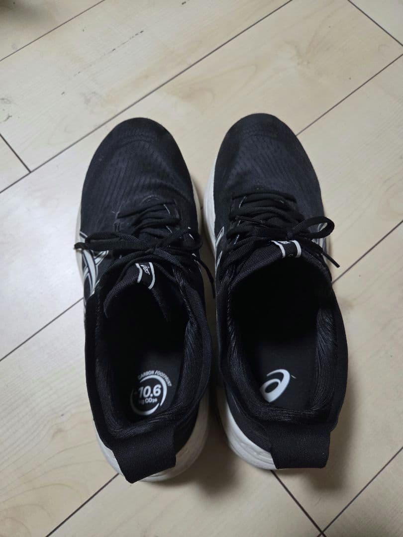 ASICS GEL-NIMBUS 27　28.5cm