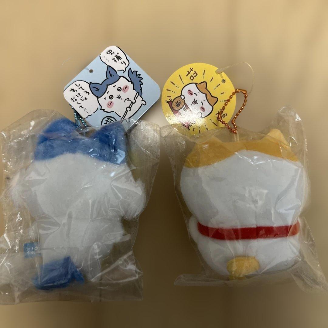 パラレルワールド 、招福 ハチワレ