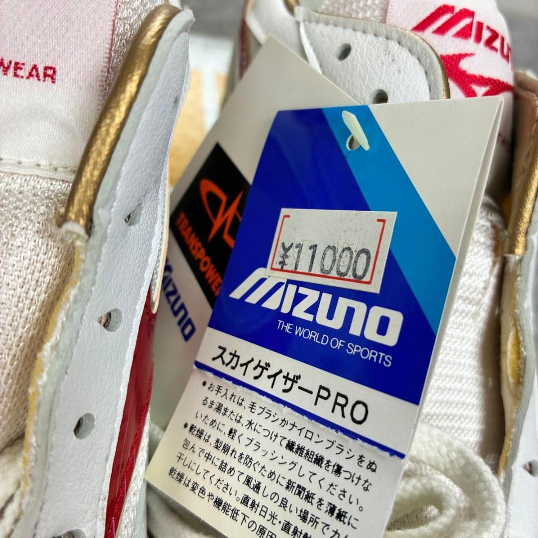 MIZUNO ミズノ　バレーボールシューズ　ミズノシューズ　シューズ　25.5