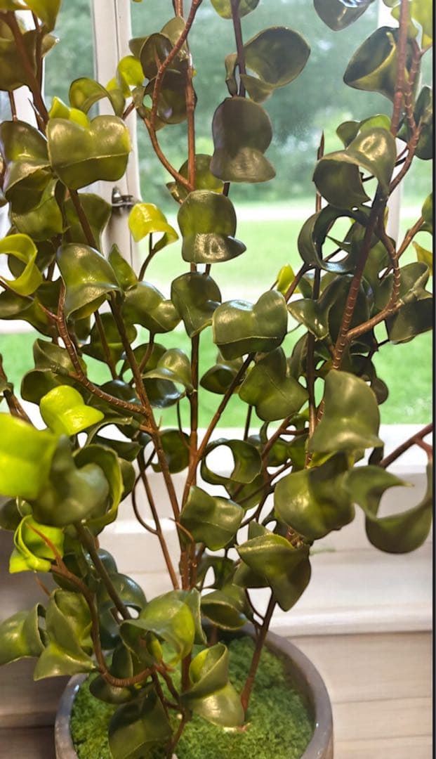 光触媒　人工観葉植物　ウォールグリーン　フェイクグリーン　オリーブとバロックＭ