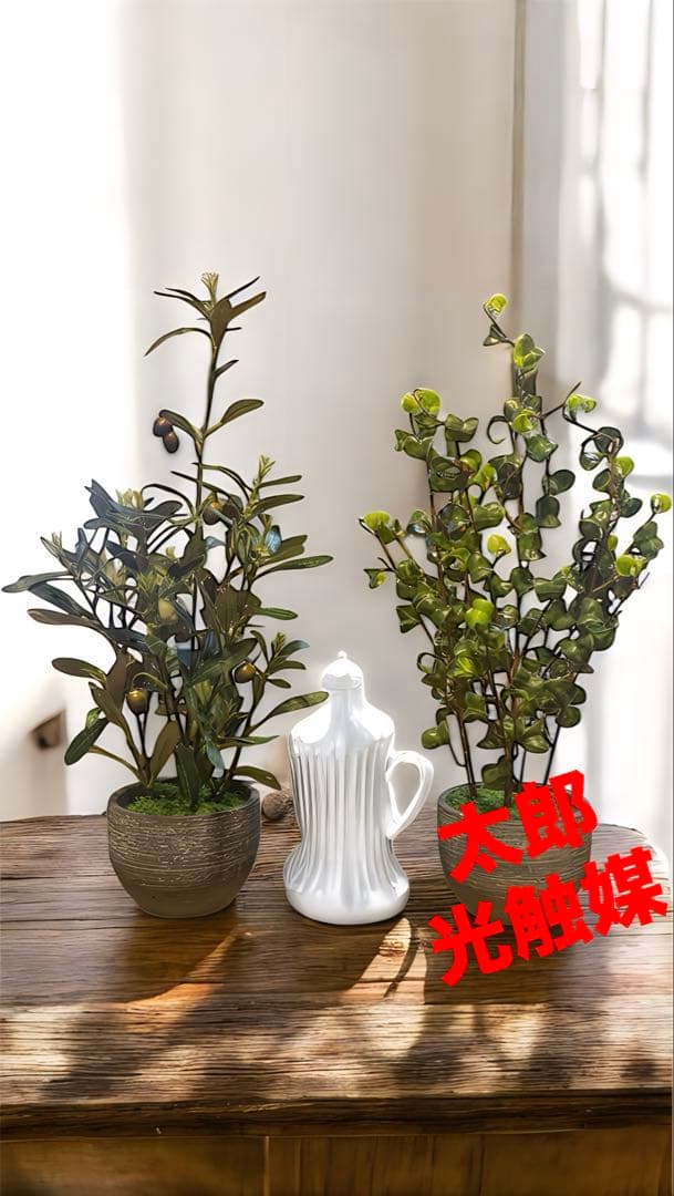 光触媒　人工観葉植物　ウォールグリーン　フェイクグリーン　オリーブとバロックＭ