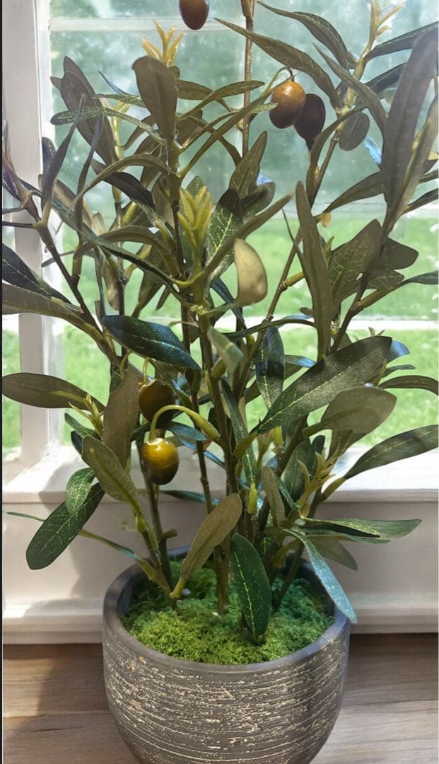光触媒　人工観葉植物　ウォールグリーン　フェイクグリーン　オリーブとバロックＭ