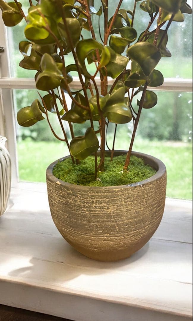 光触媒　人工観葉植物　ウォールグリーン　フェイクグリーン　オリーブとバロックＭ