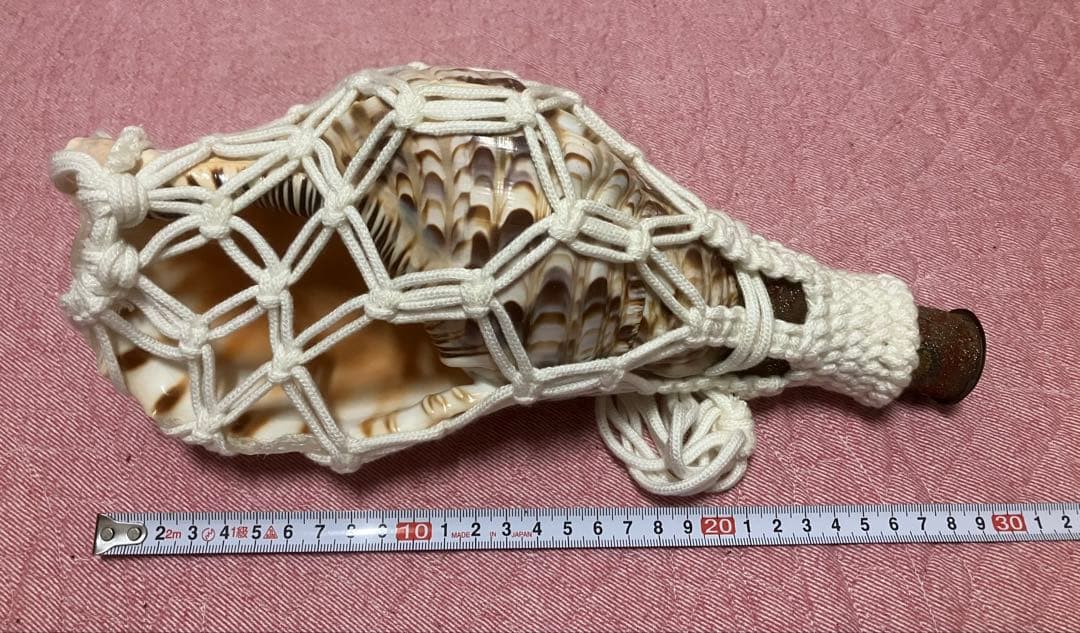 大*1様 法螺貝　骨董品　縁起物　和楽器