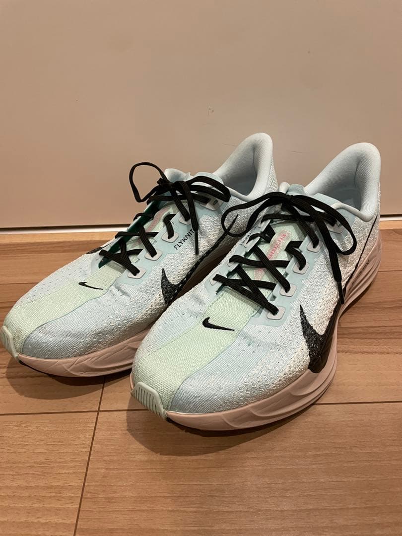 NIKE ペガサスプラス【28.0cm】美品
