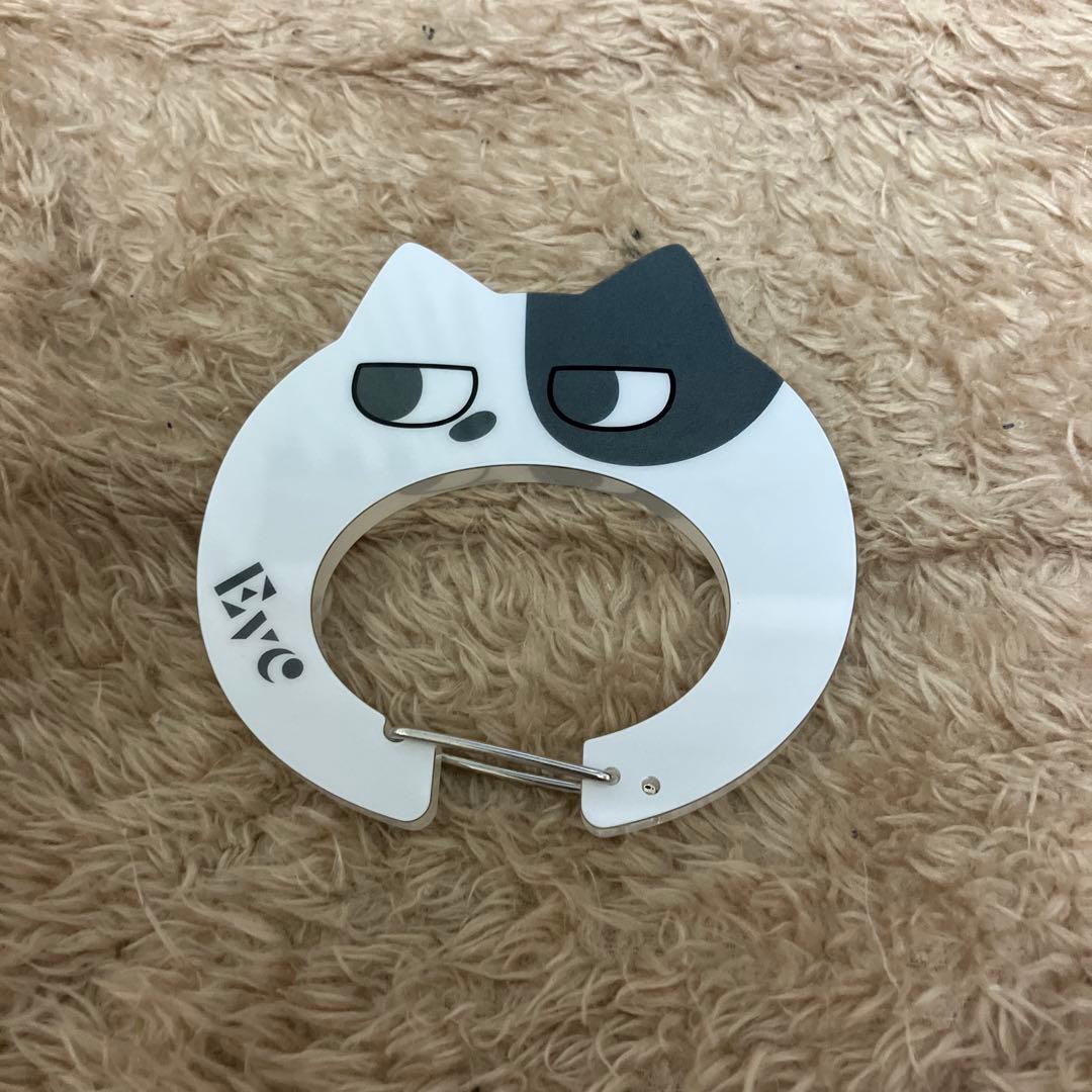Eveライブ ライトバンドとおまけ