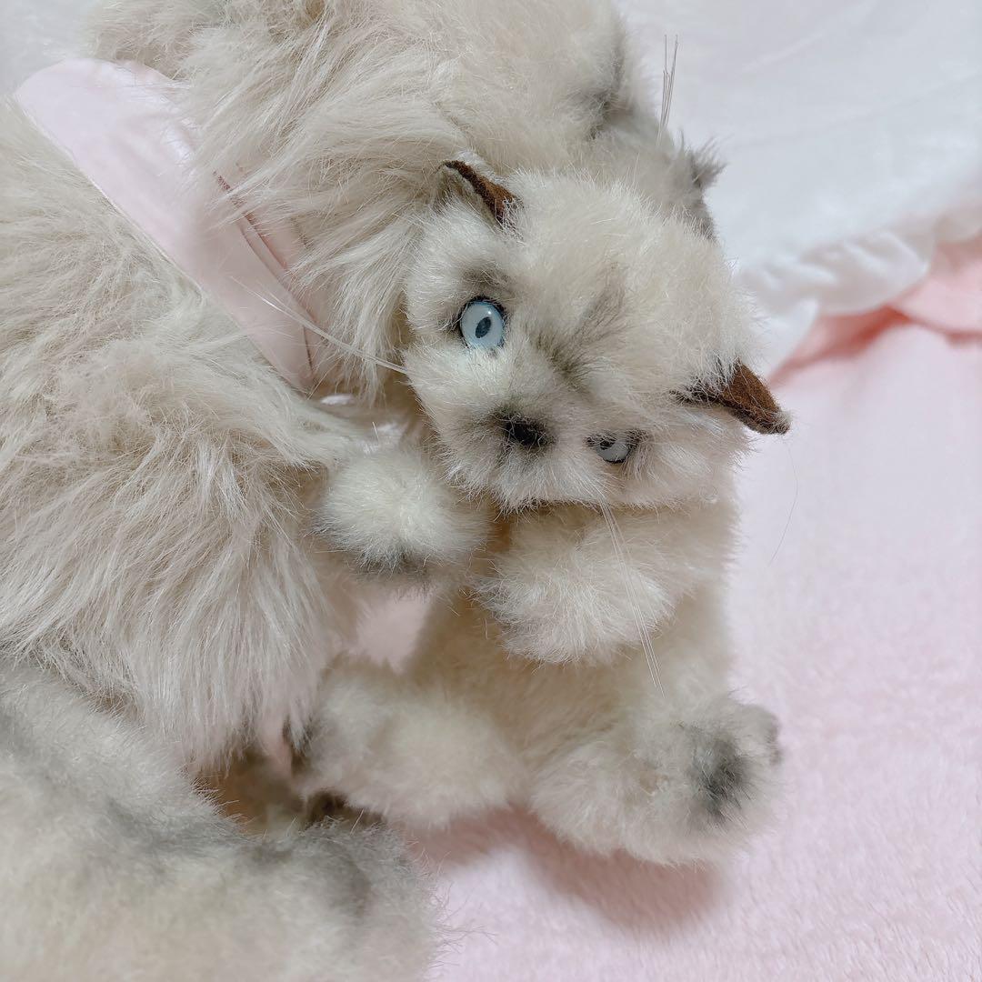 猫ちゃん
