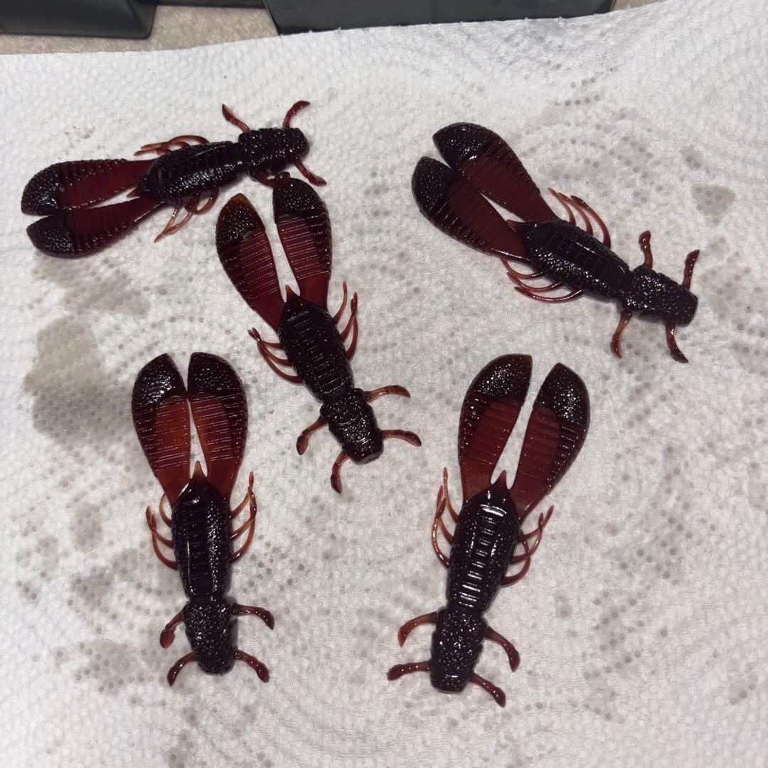 レイドジャパンワーム　RAIDJAPANジグセット　最終値下げ