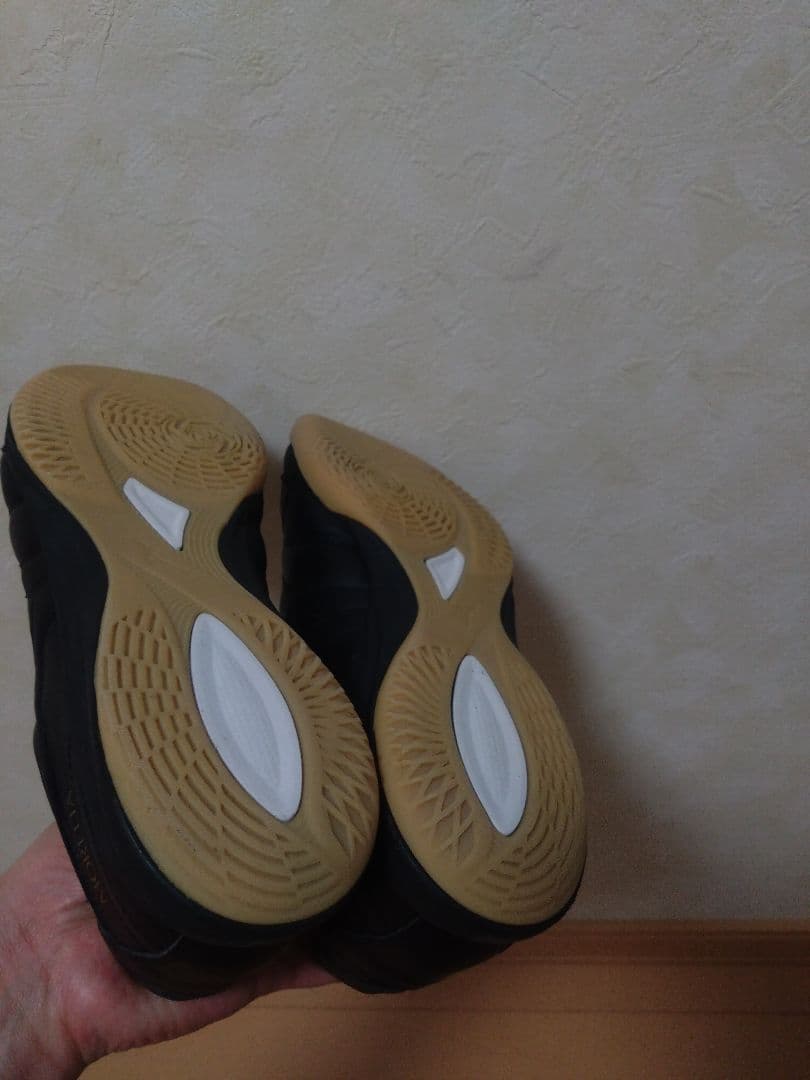 【値下げ不可】モレリアサラジャパン　26.0cm japan