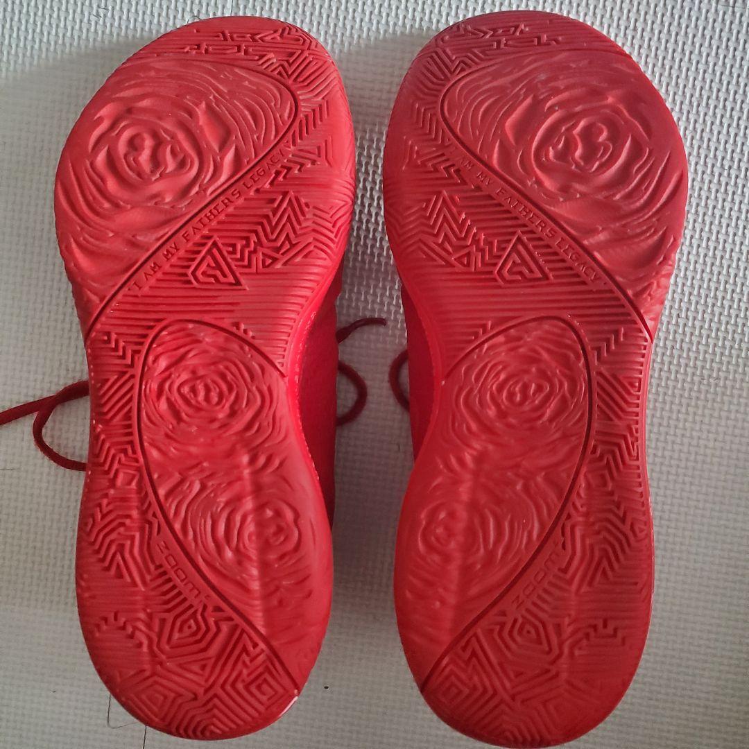 Nike フリーク1 バスケットボールシューズ レッド