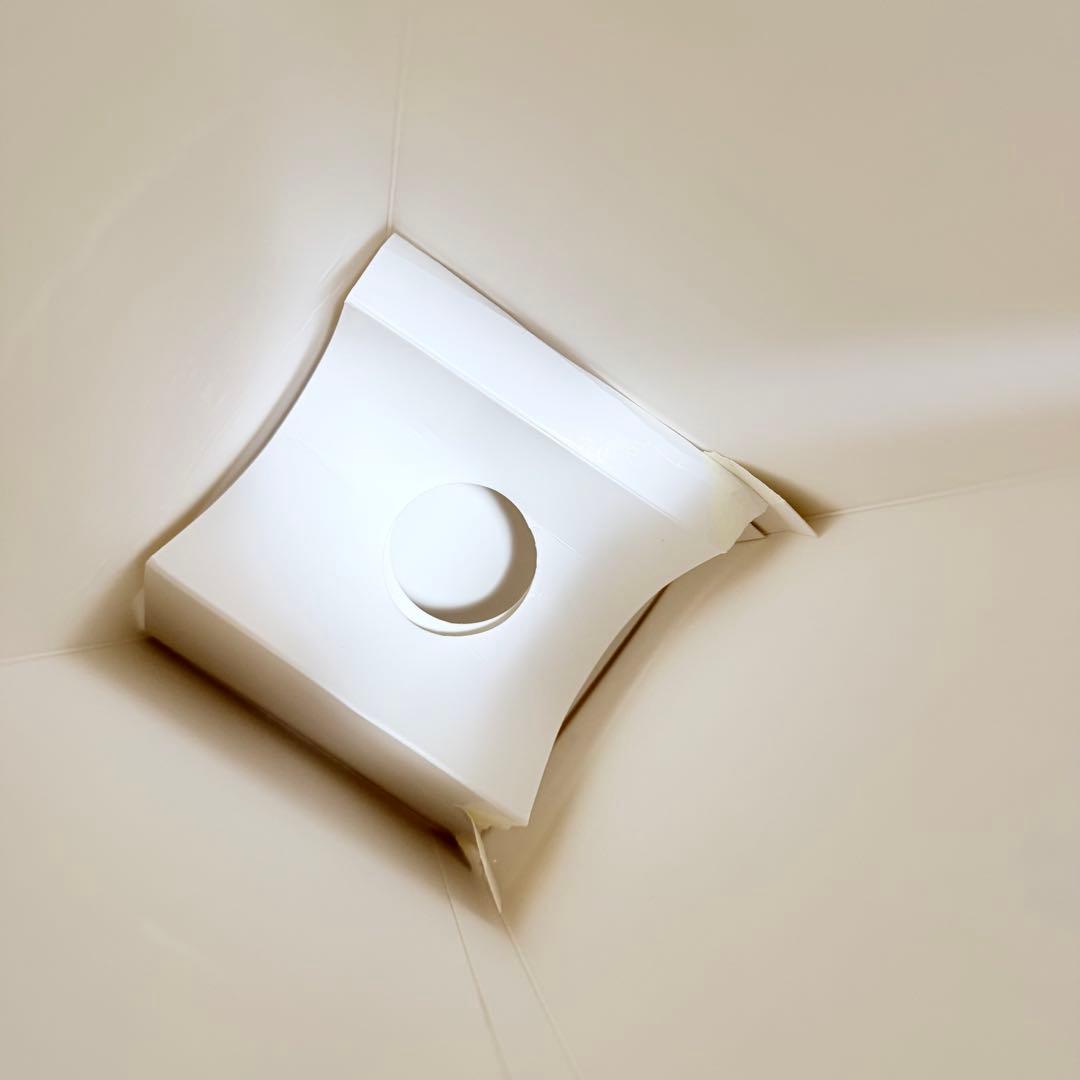 FRUITS ZIPPER 　ペンライト　OFFICIAL FAN LIGHT