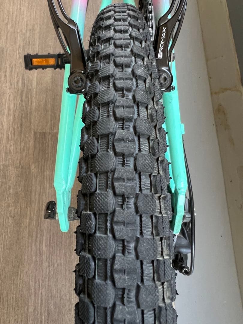 Bianchi Pirataキッズバイク 20インチ 水色とピンク