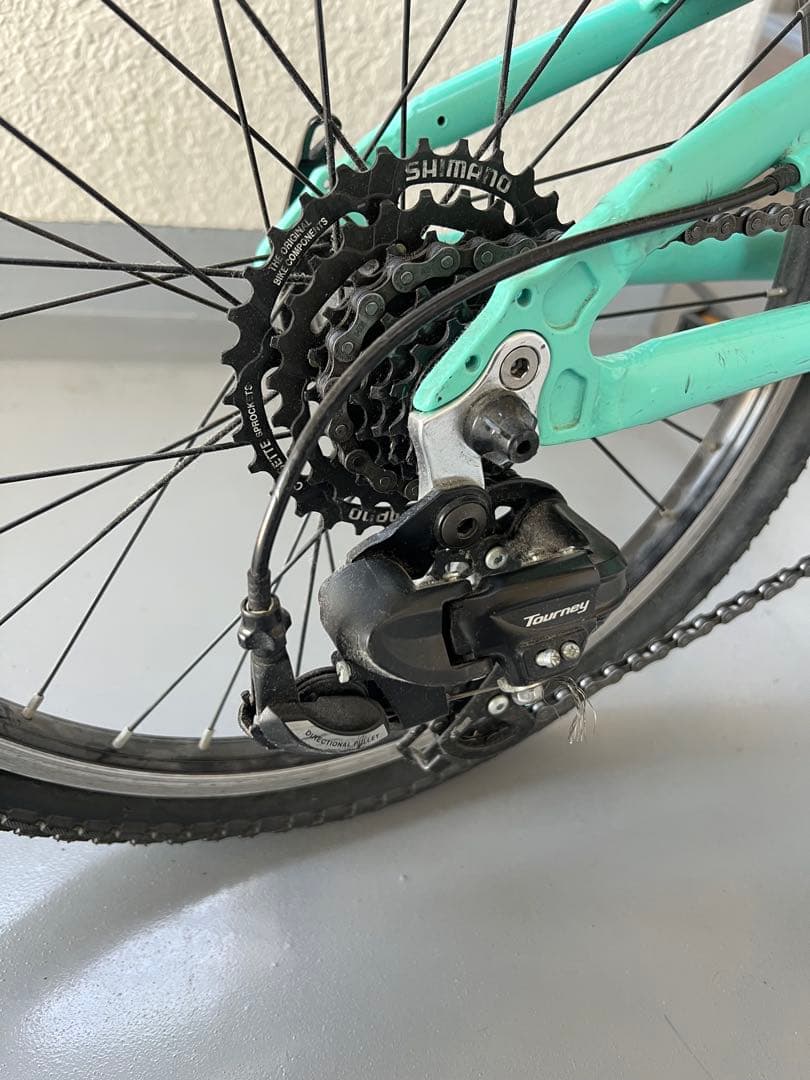 Bianchi Pirataキッズバイク 20インチ 水色とピンク