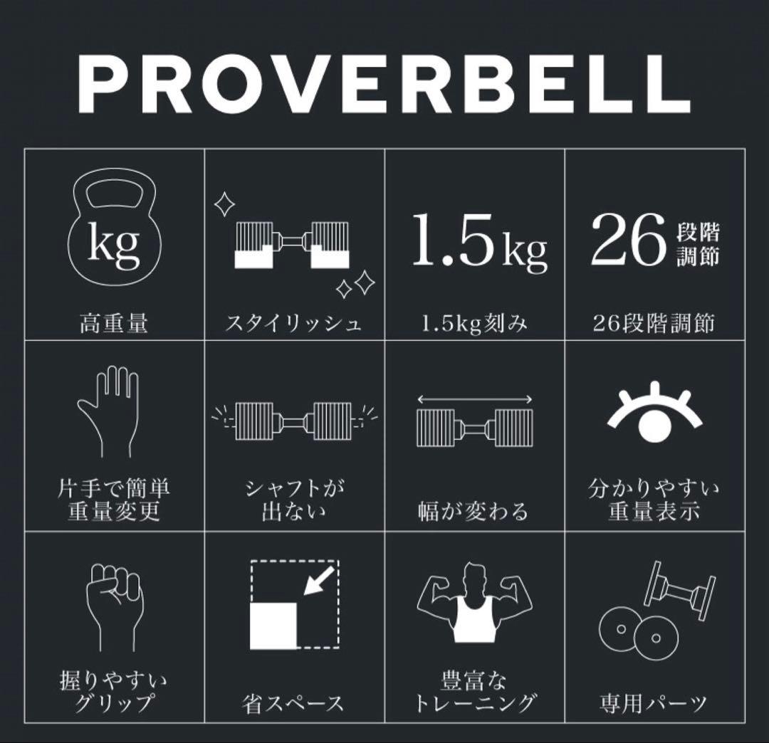 ライシン　プロバーベル ダンベル41.5kg×2　①