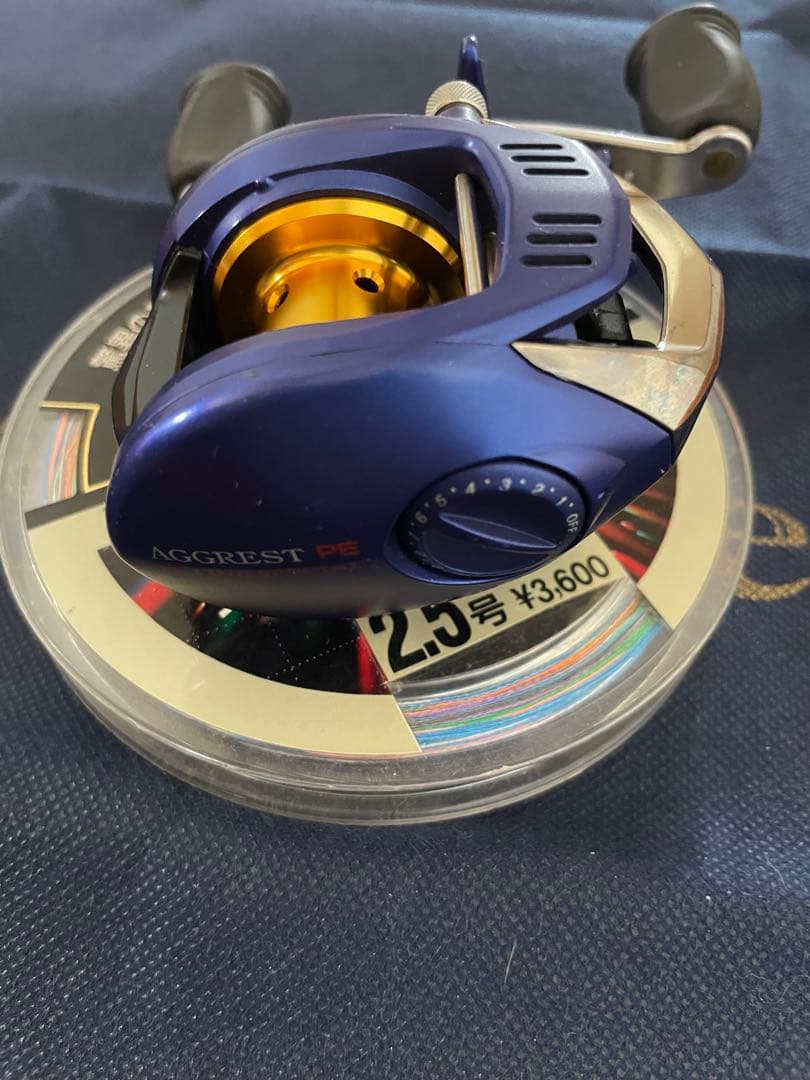 アグレストPEスペシャル 100HL DAIWA 2.5号　約200mオマケ付き