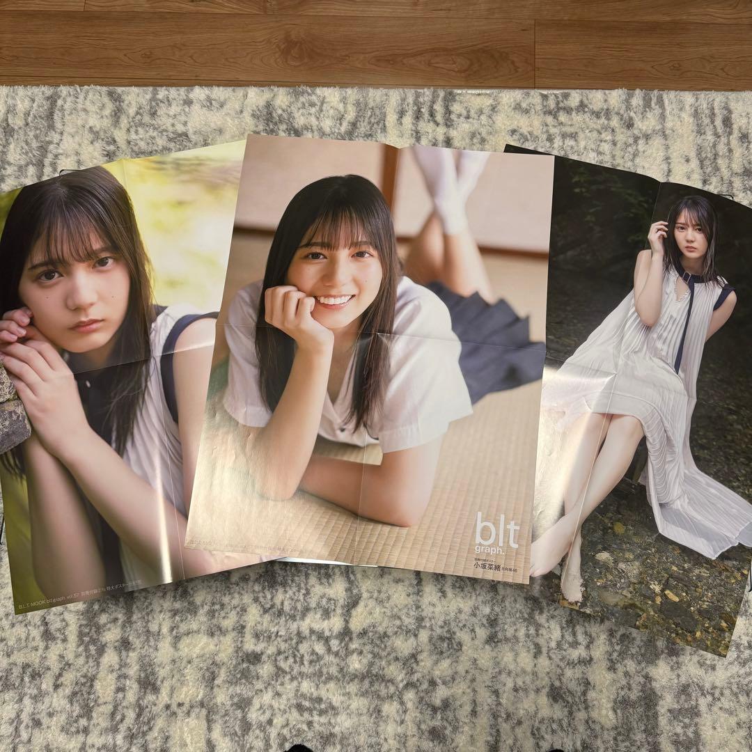日向坂46 小坂菜緒　まとめ売り　写真集　生写真　ポストカード　タオル　アクスタ