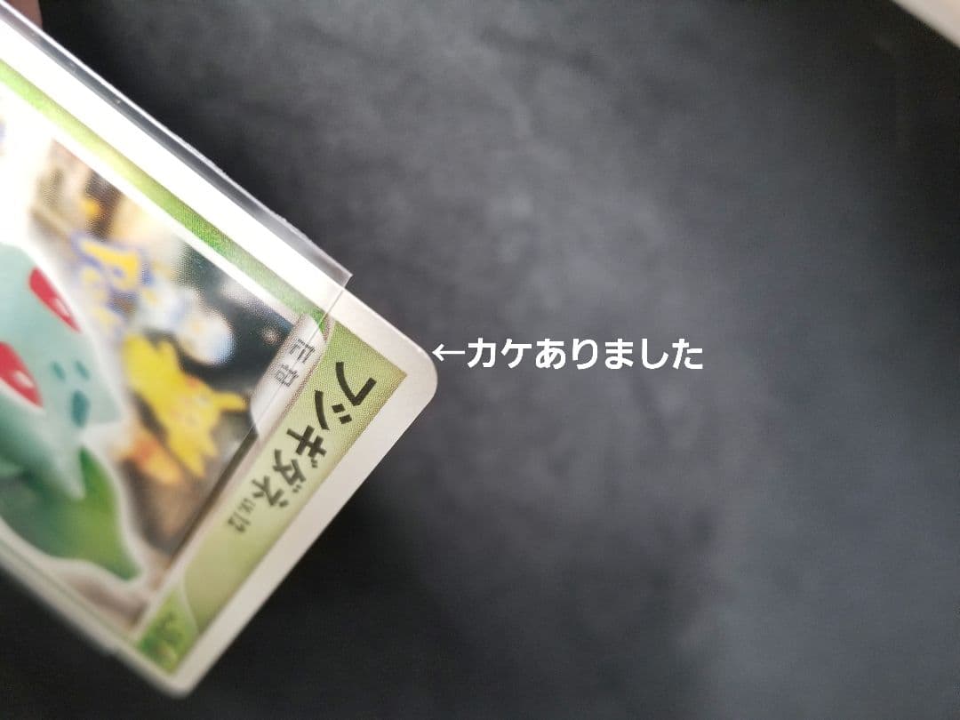 激レア非売品!フシギダネ PROMO DPt-Pプロモカード 030/051