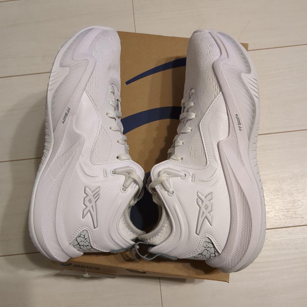 【美品】 NOVA SURGE LOW2 25.0センチ アシックス バッシュ