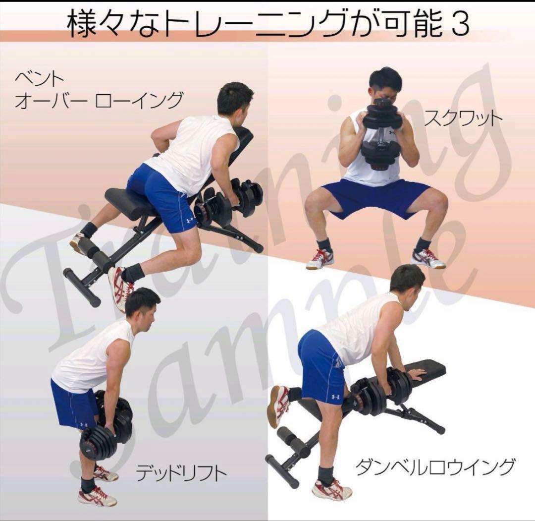 限界突破40kg 可変式ダンベル｜高重量対応モデル １個　　①/②