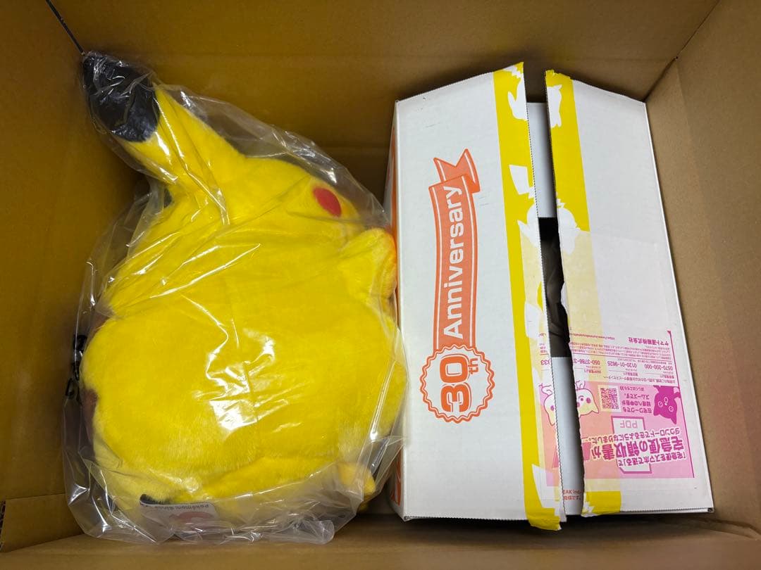 はじまりのピカチュウ おかえりピカチュウ ぬいぐるみ2点セット