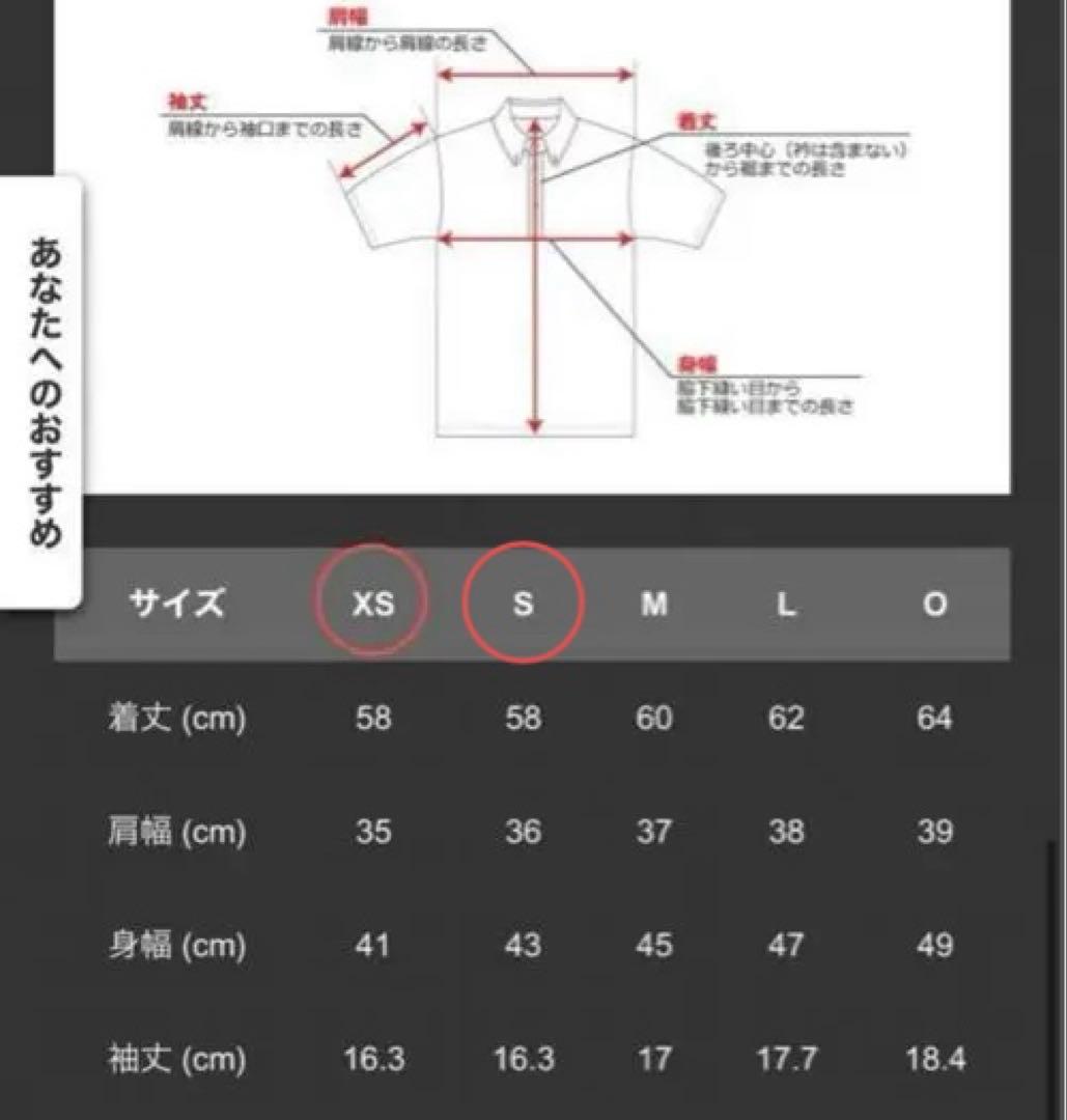 【TaylorMade】新品✨上下セット　春夏ゴルフセットアップ　ポロシャツ