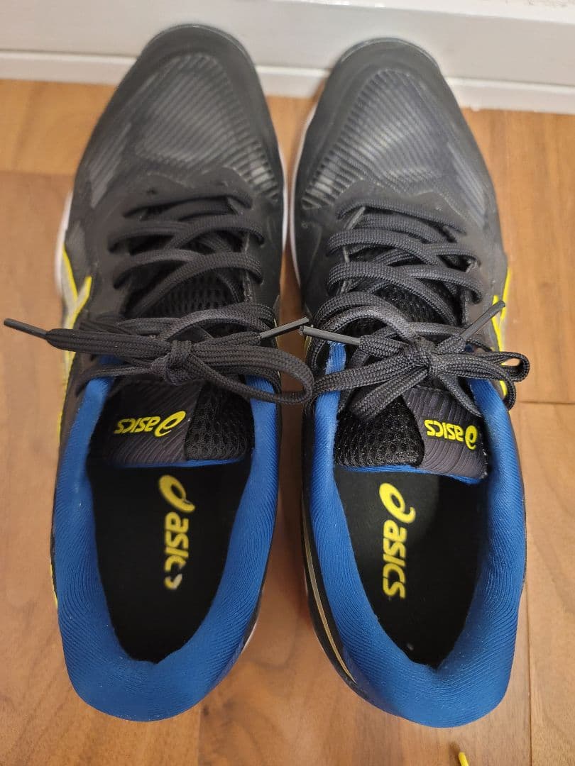 ASICS ローテジャパン 27.5cm