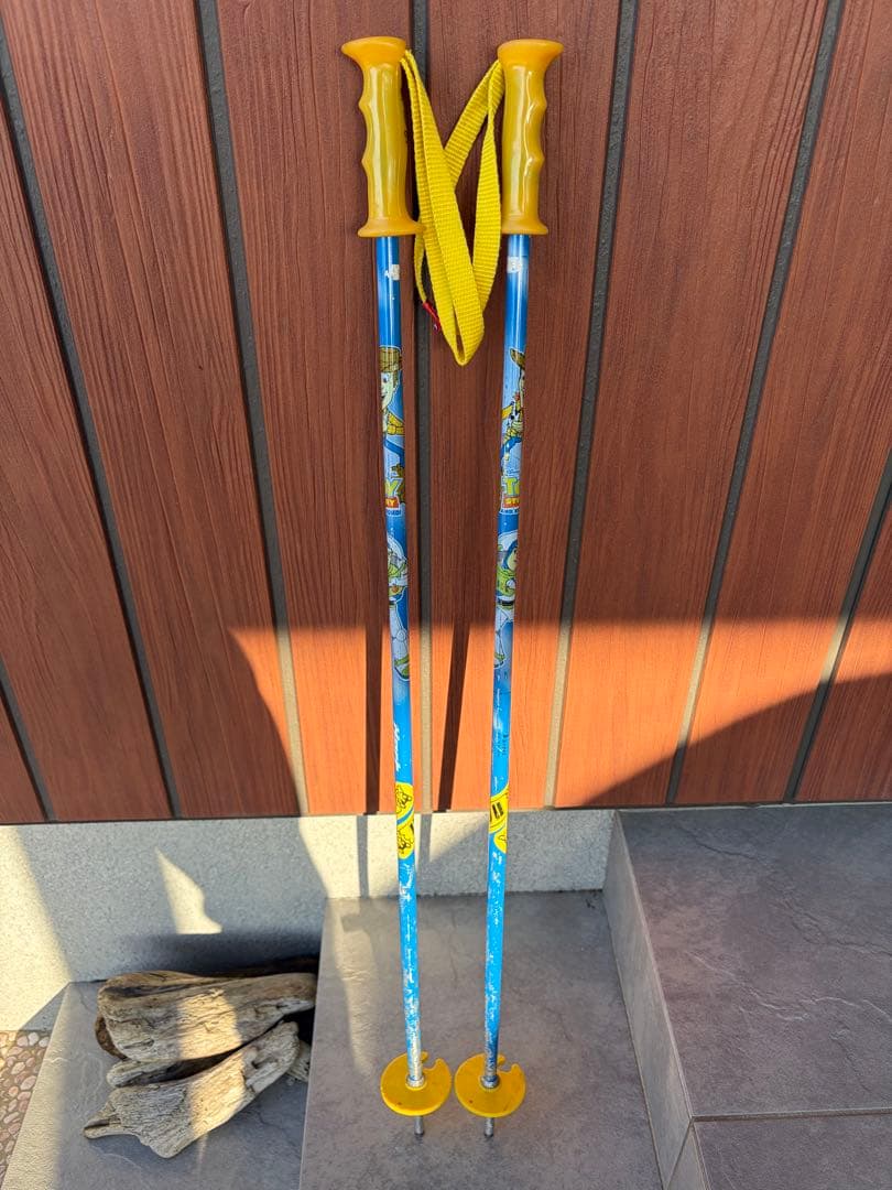 Salomon サロモン　スキー 100 ブーツ　20㌢　ストック　８０㌢