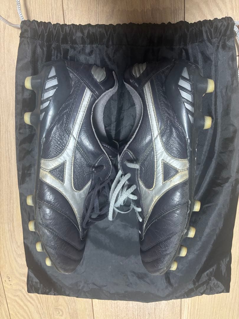 MizunoモレリアDNA