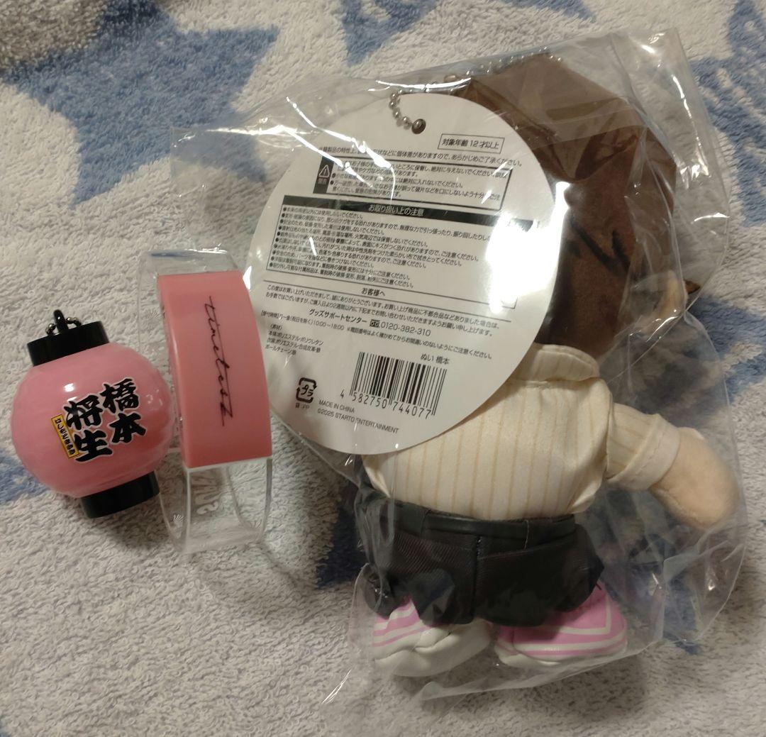 timelesz橋本将生　ぬい＆ちょうちんキーホルダー&ライトバングル