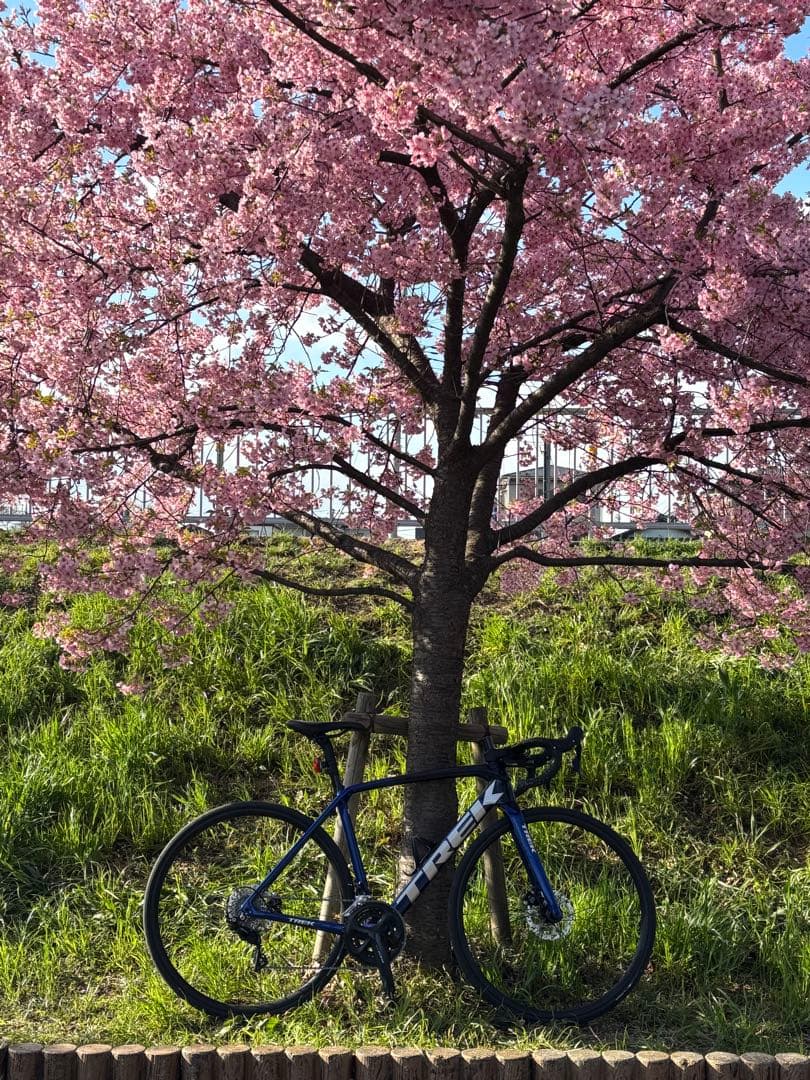 Emonda SL 5 (即購入禁止) 説明欄絶対みて！