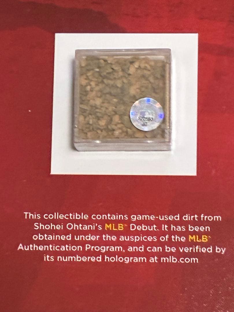 大谷翔平選手 MLBデビュー戦 117個限定フレーム エンゼルス フォトフレーム