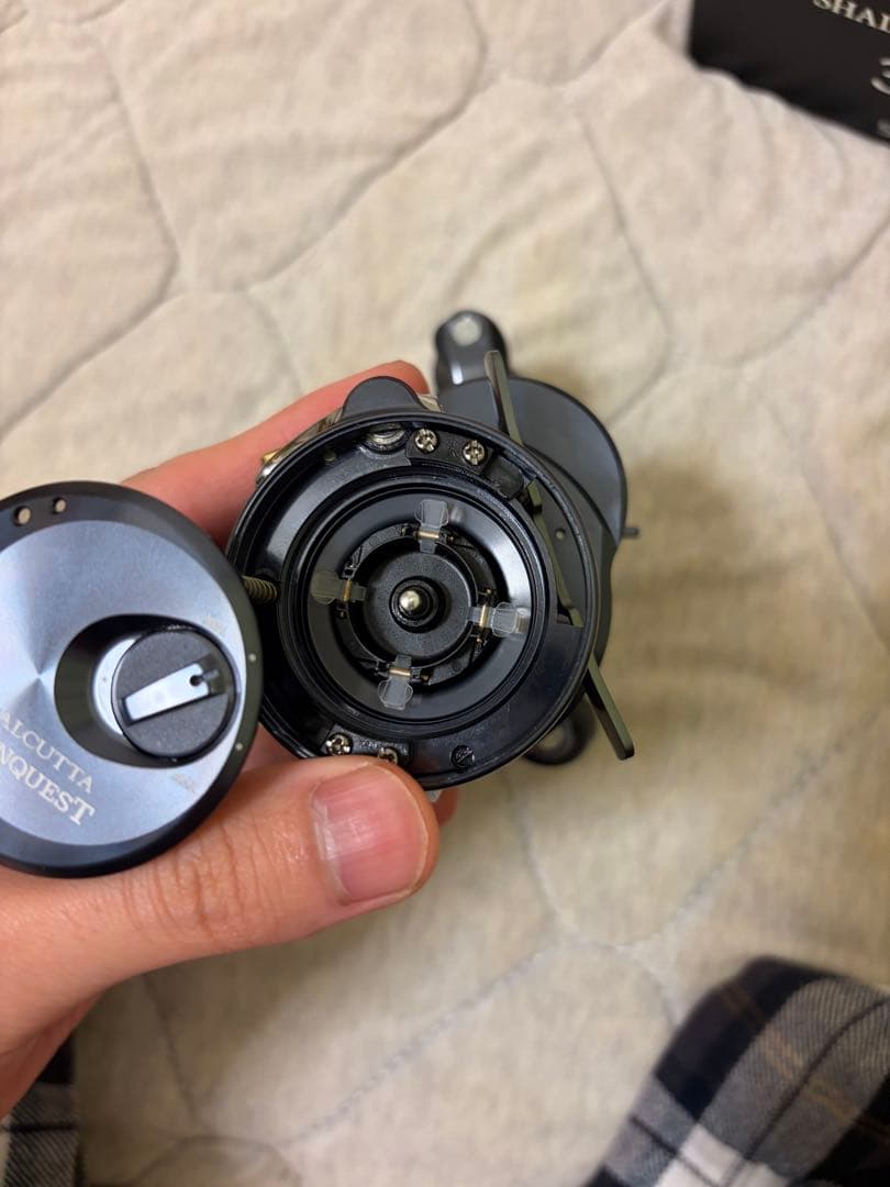 SHIMANO カルカッタシャローエディション　31HG