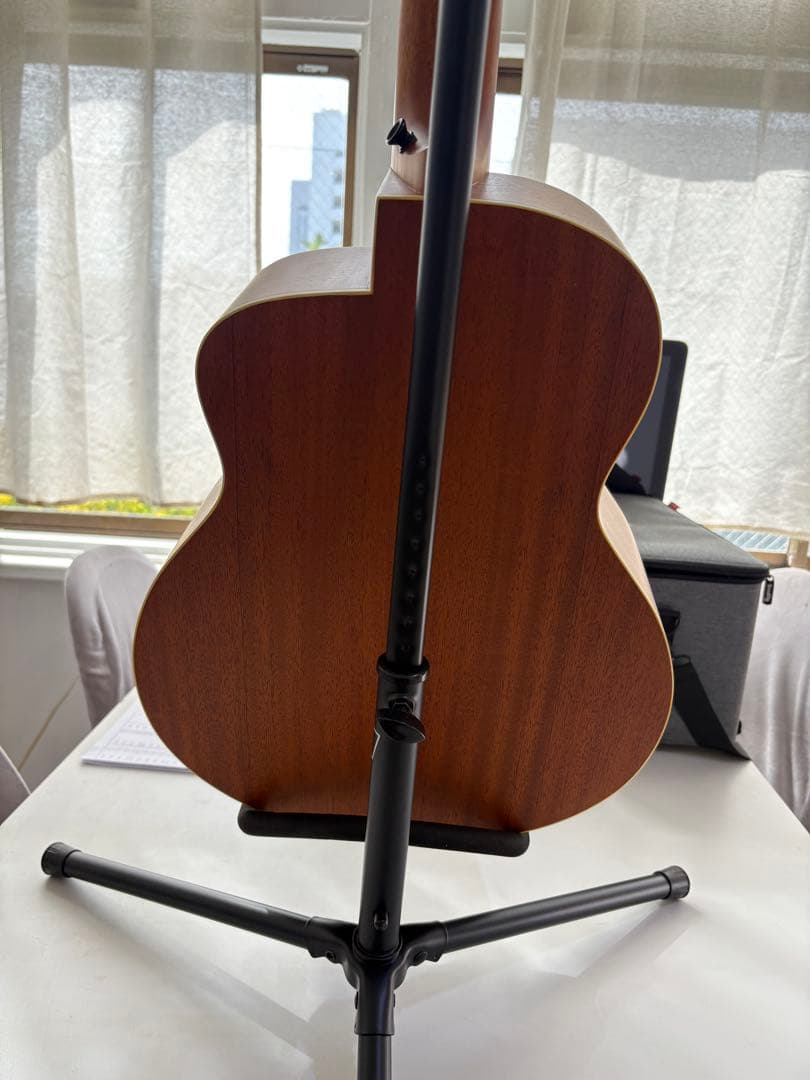 anuenue Bird M 2 アコースティックギター