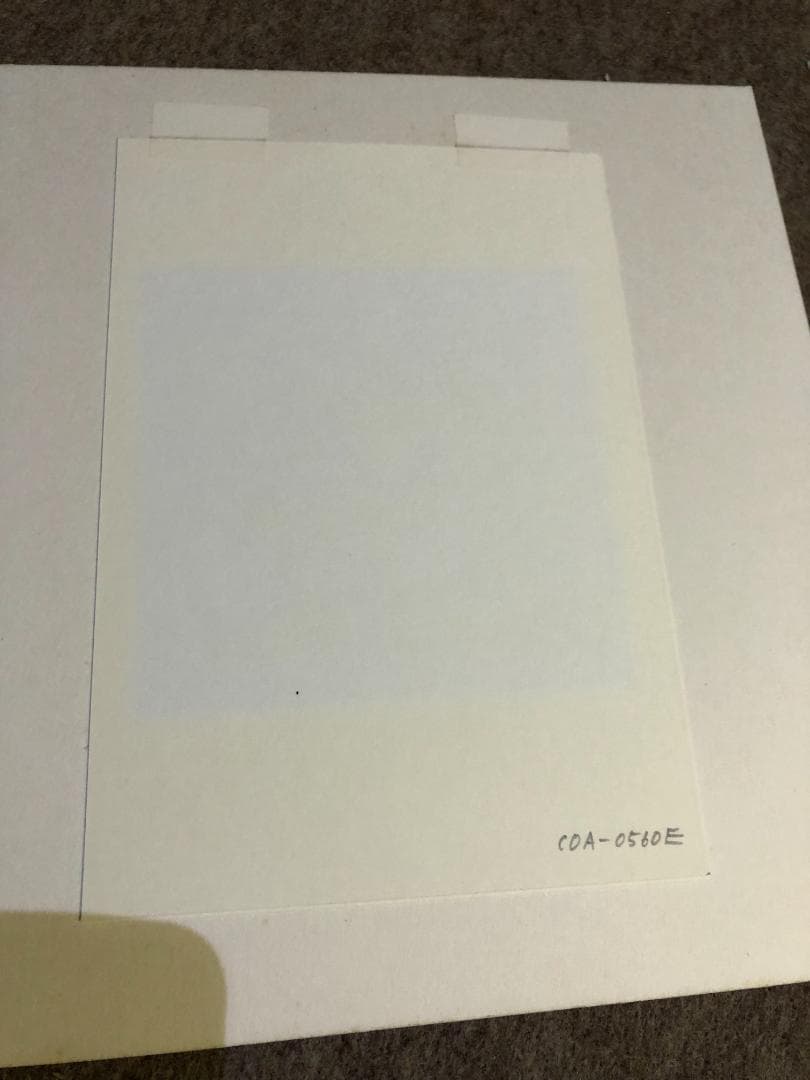 塗谷薫子作　PINK　ROSES　リトグラフ　サイン　COA-0560E　額装品