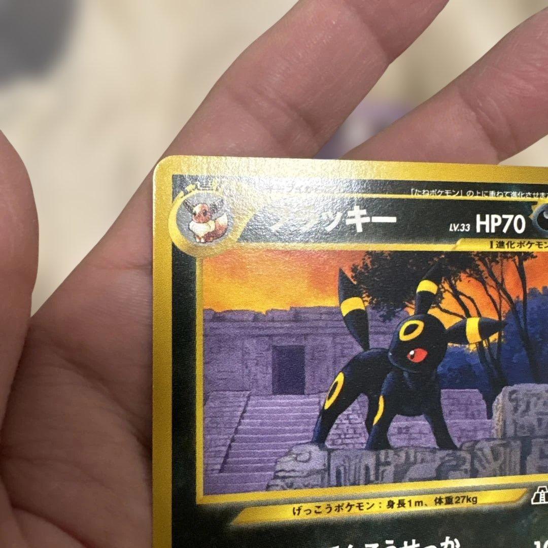 ポケモンカード　旧裏　ブラッキー　プレミアムファイル2