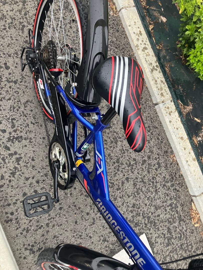 【美品　東京都】ブリジストン　エクスプレスジュニア　22インチ　自転車　子供
