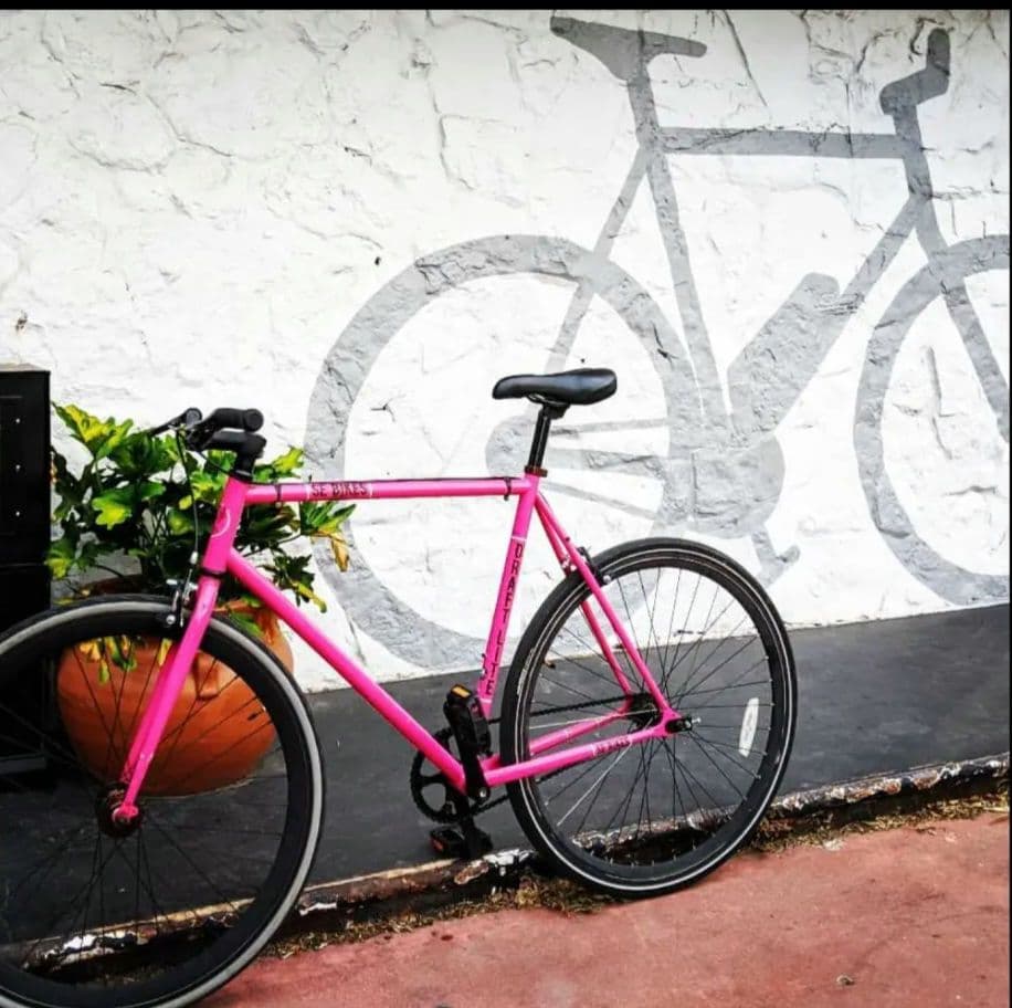 桜の季節♪ SE BIKES ピストバイク ピンク セレッソ ヴィクトリーナ