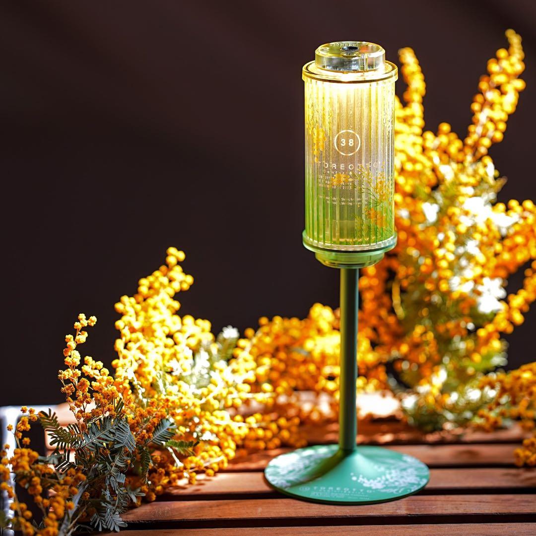 38explore　38-kT Mimosa Edition 2026 限定品