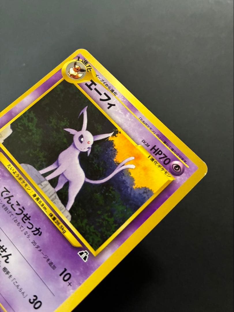 ポケモンカード ブラッキー エーフィ イーブイ プレミアムファイル 3枚セット