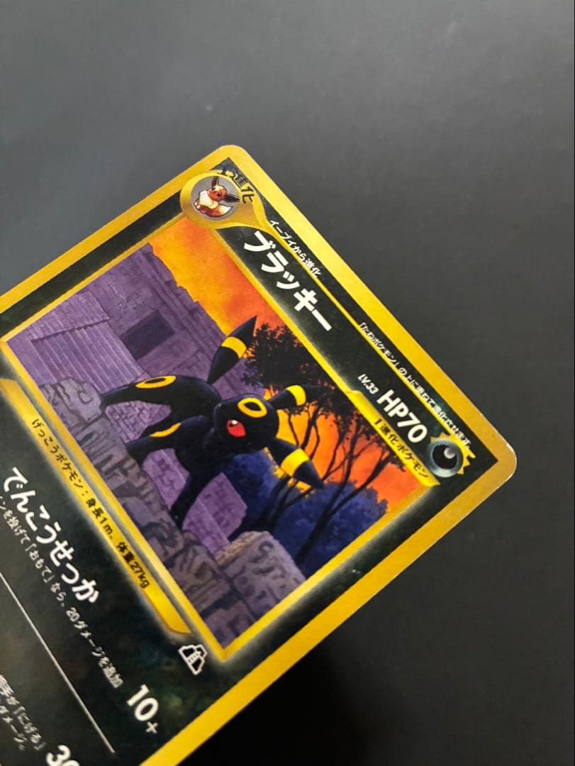 ポケモンカード ブラッキー エーフィ イーブイ プレミアムファイル 3枚セット