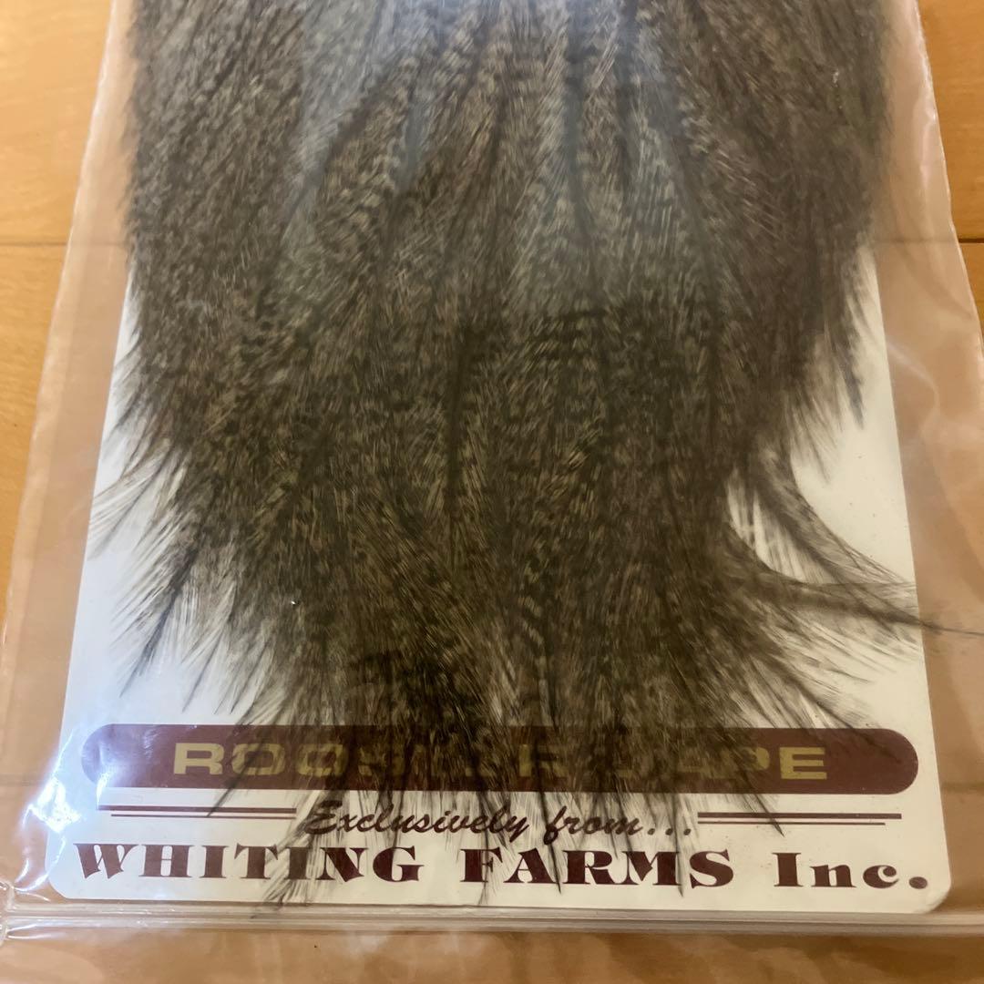 ルアー・フライ WHITING FARMS COQ DE LEON