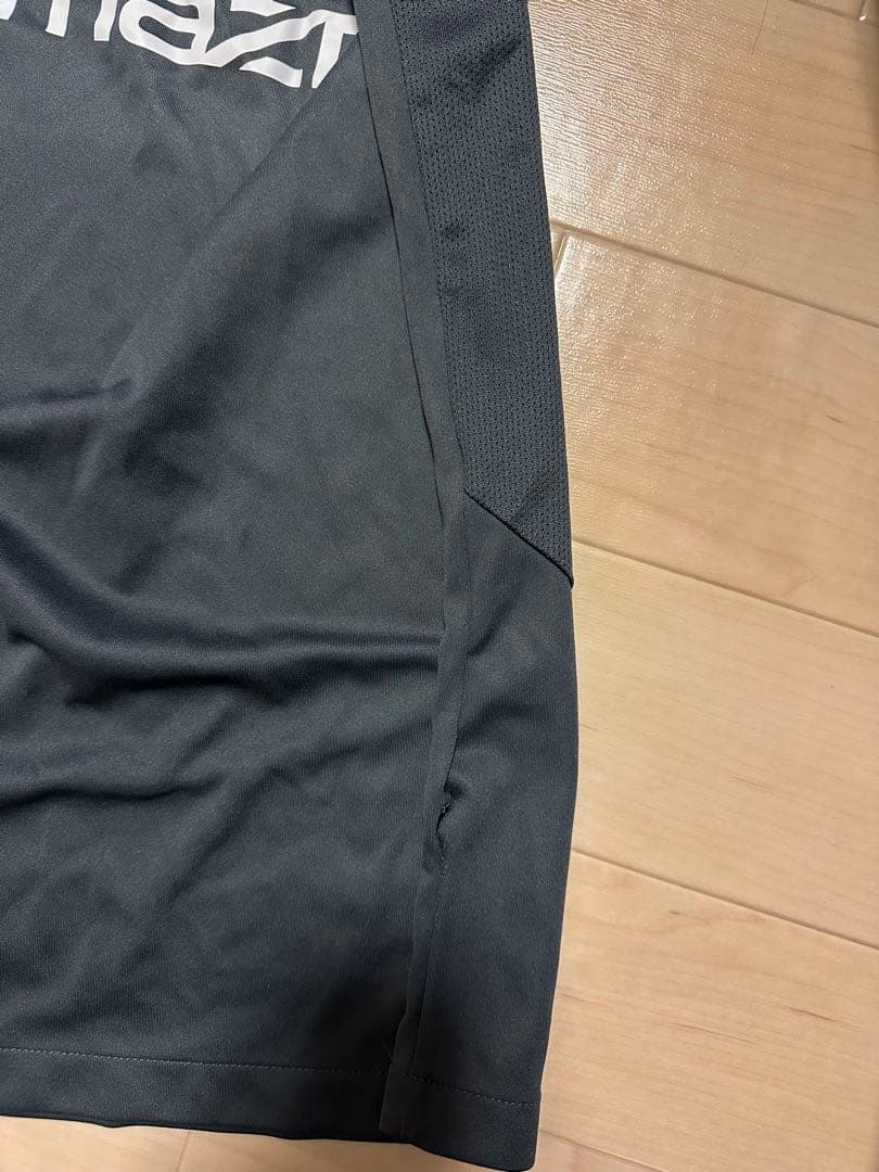 サンフレッチェ広島