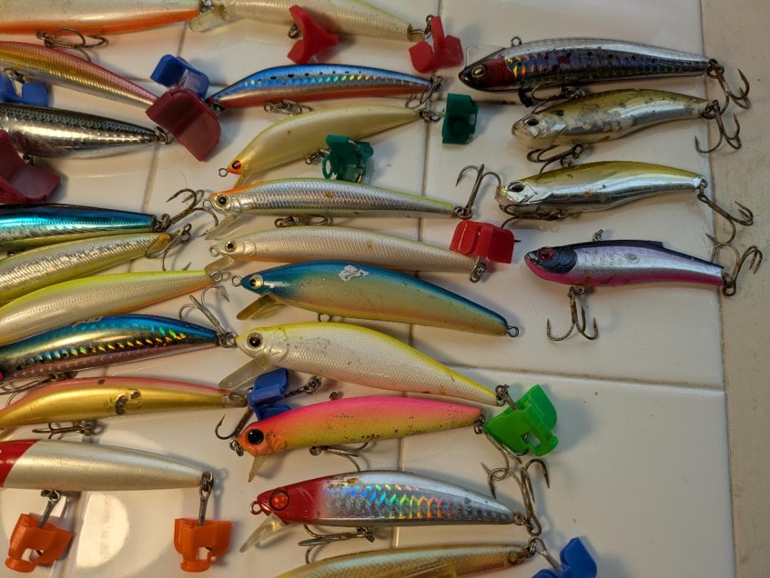 シーバス　エントリールアーセット